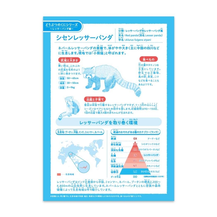 方眼ノート ハーモニー学習 算数 | cinemacollection【KIDS】 | 詳細画像2 