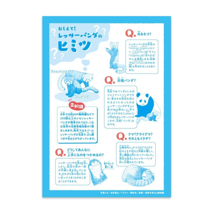 方眼ノート ハーモニー学習 算数 | cinemacollection【KIDS】 | 詳細画像3 