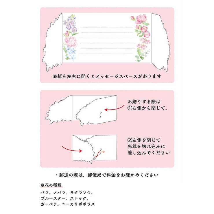 グリーティングカード フローラル FA19 | cinemacollection | 詳細画像5 