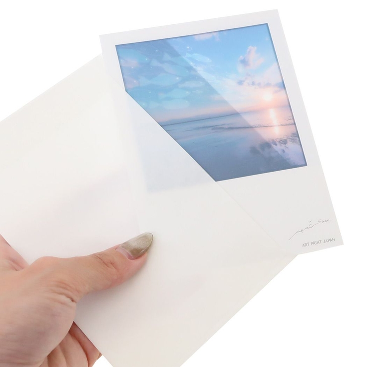 sara POSTCARD シアーポストカード[品番：BREW0104911