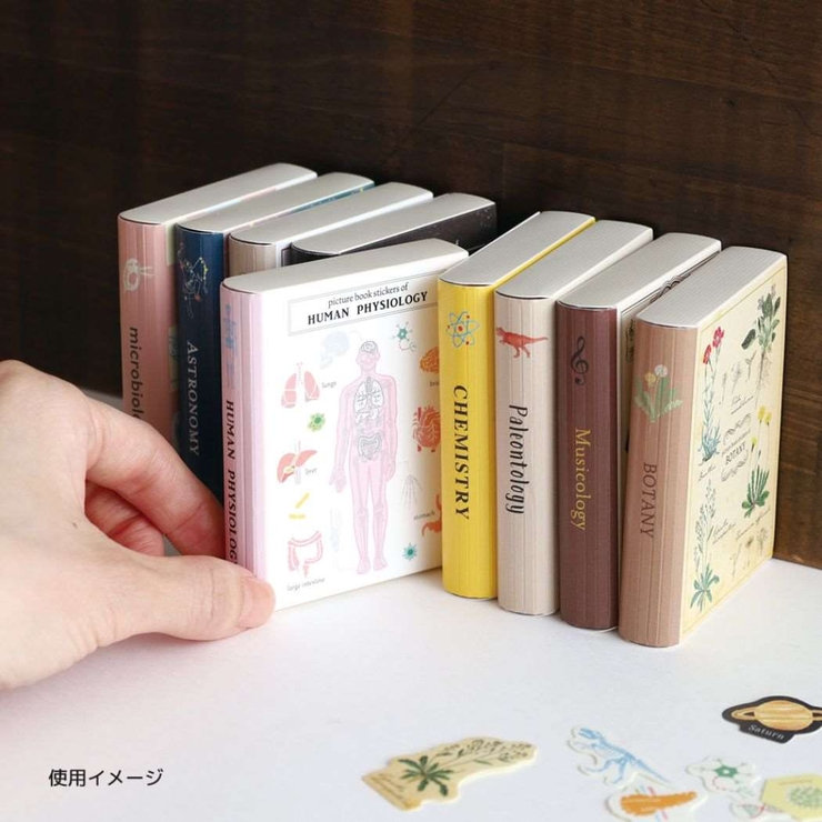 STUDY HOLIC フレークシール | cinemacollection | 詳細画像4 