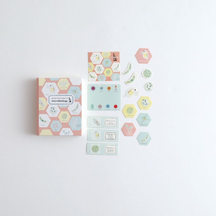 STUDY HOLIC フレークシール | cinemacollection | 詳細画像2 