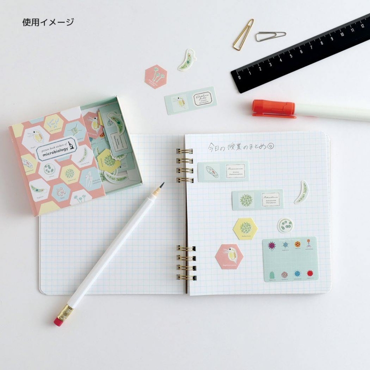 STUDY HOLIC フレークシール | cinemacollection | 詳細画像3 