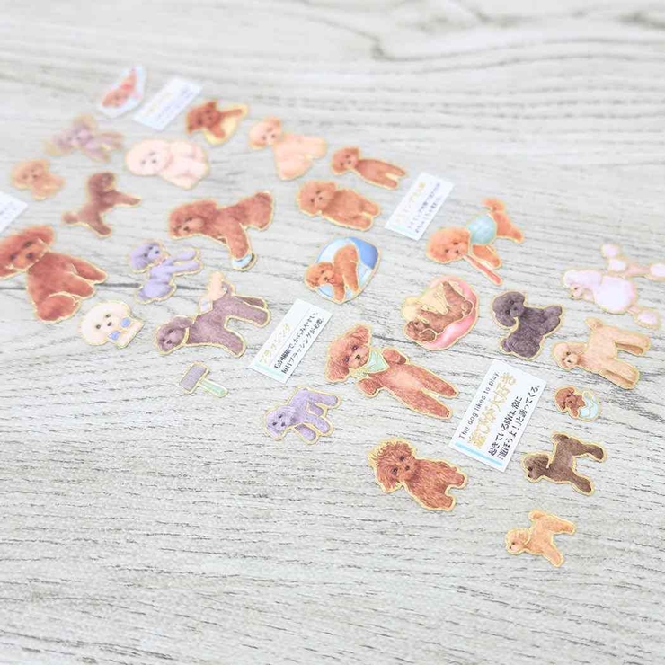 シール 大人の図鑑シール トイプードル[品番：BREW0108071