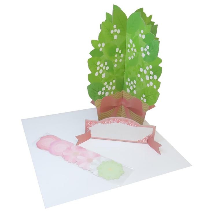色紙 メッセージプランツ ローズピンク | cinemacollection | 詳細画像1 