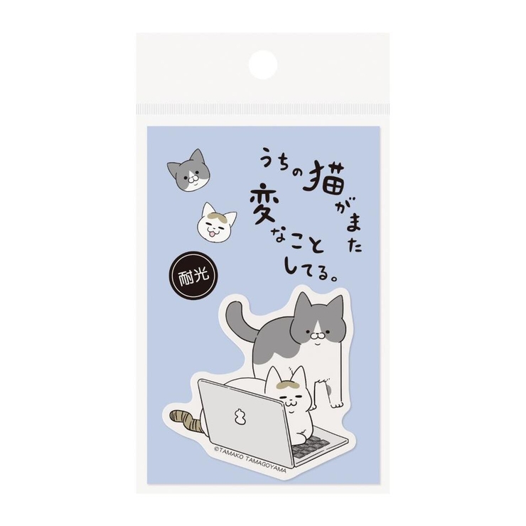 うちの猫がまた変なことしてる ダイカットシール ステッカー | cinemacollection | 詳細画像1 