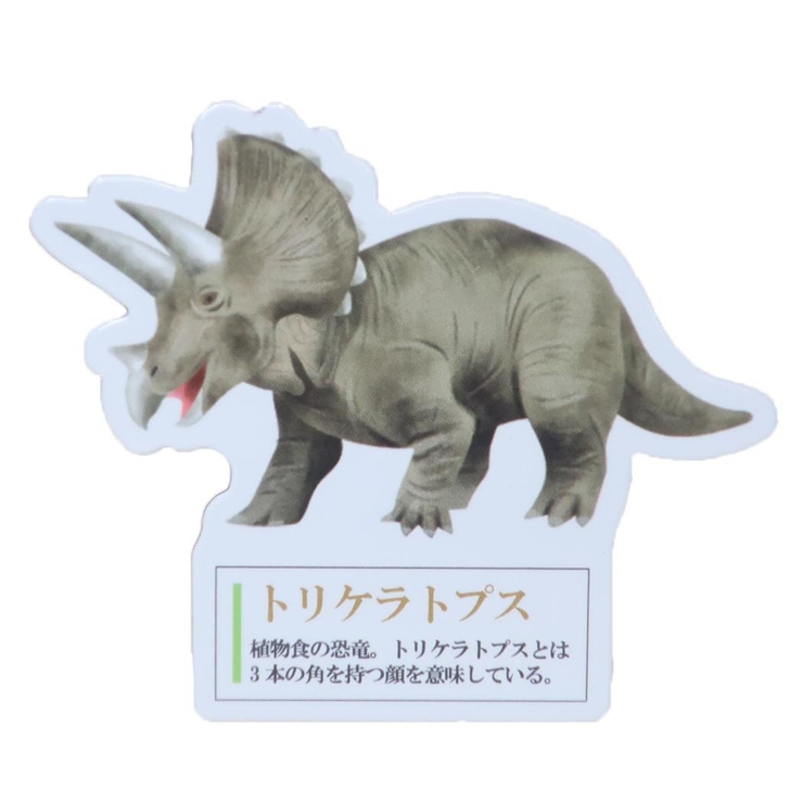 マグネット 大人の図鑑マグネット トリケラトプス | cinemacollection | 詳細画像1 