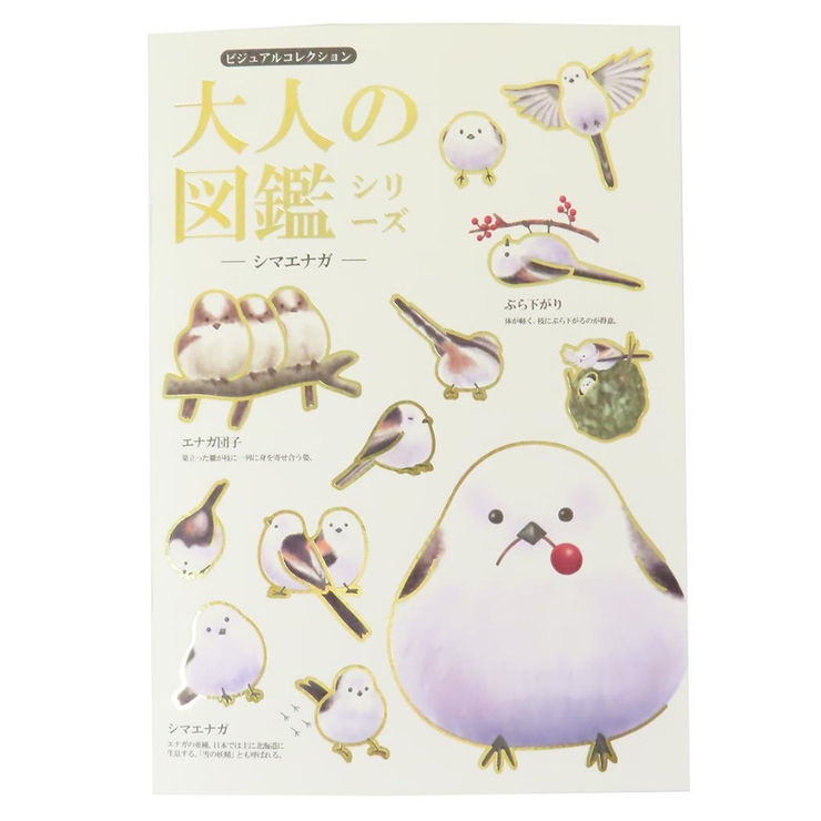 しまめなが専用ページ 大人の図鑑 横罫ノート A5ノート[品番：BREW0159385