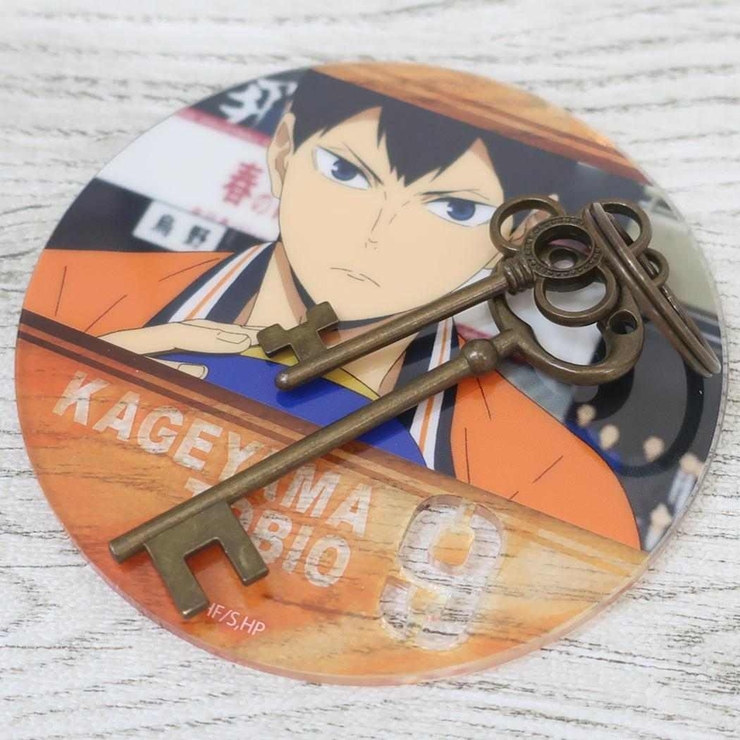 ハイキュー！！ アクリルスタンド アートアクリルコースター[品番