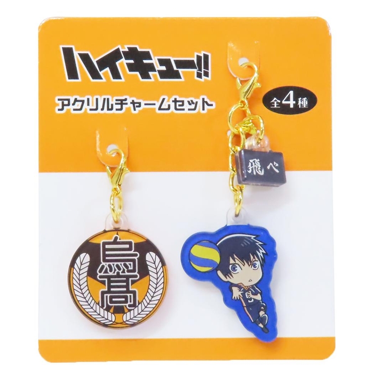 ハイキュー!! アクリルチャーム 2種セット ハイキュー！！ ファスナーマスコット アクリルチャームセット