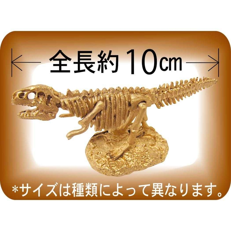 知育玩具 スーパー発掘名人ゴールド 全6種 | cinemacollection | 詳細画像3 