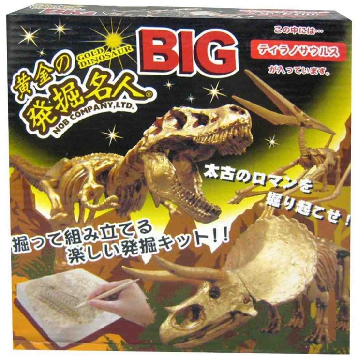 知育玩具 黄金の発掘名人 BIG[品番：BREW0173959