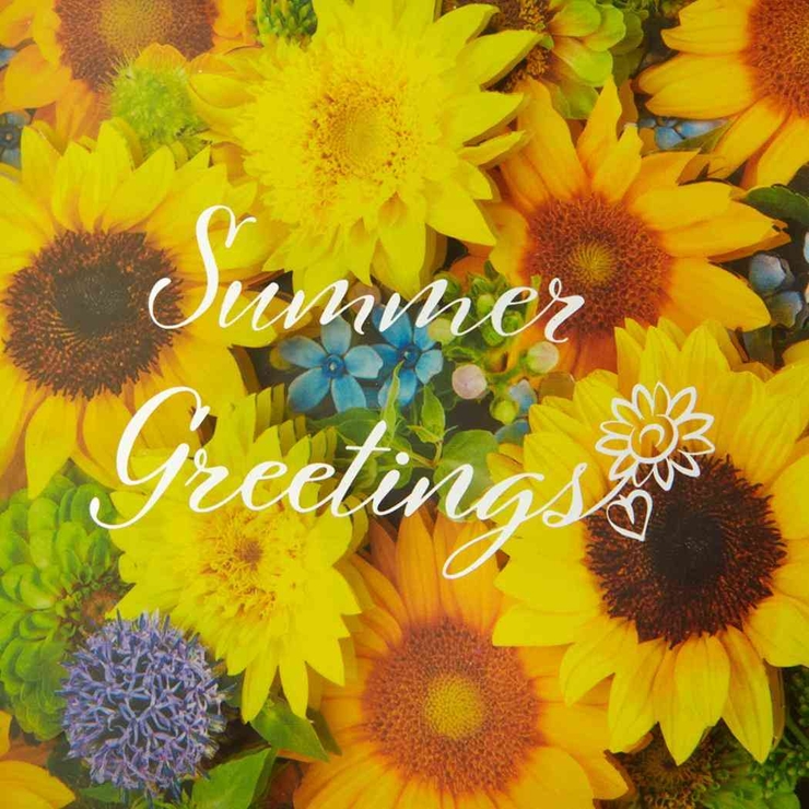 グリーティングカード シヨチユウJSP 38 | cinemacollection | 詳細画像2