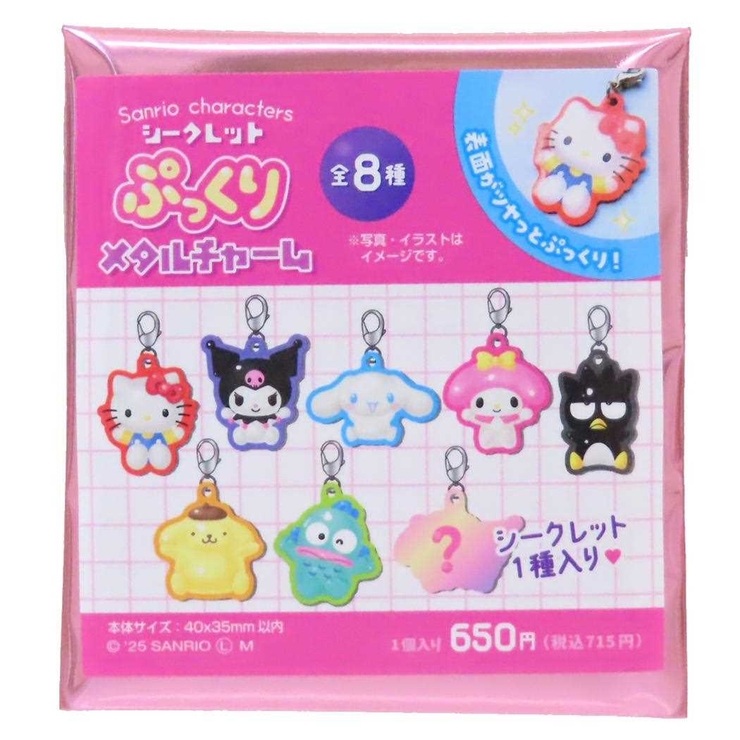 サンリオキャラクターズ ファスナーマスコット シークレットぷっくりメタルチャーム | cinemacollection | 詳細画像1 