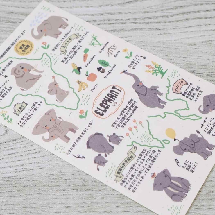 Shinzi Katoh シンジ | cinemacollection | 詳細画像2 