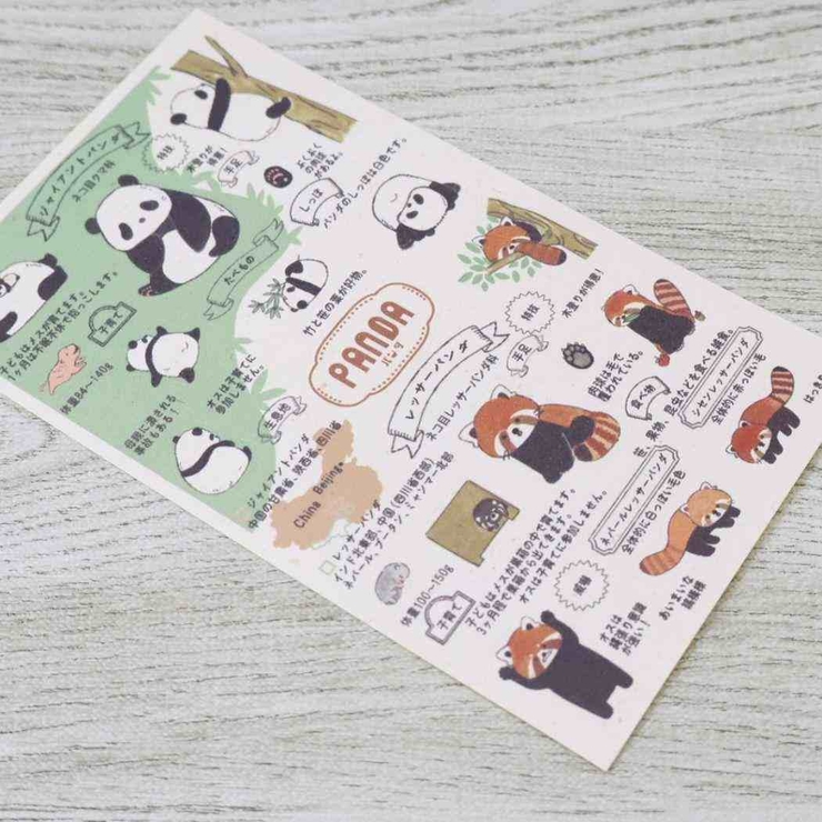 Shinzi Katoh シンジ | cinemacollection | 詳細画像2 