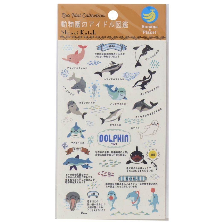 Shinzi Katoh シンジ | cinemacollection | 詳細画像1 