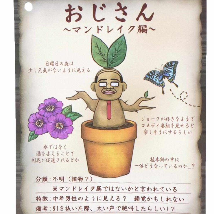 プラッシュドール ぬいぐるみ おじさん | cinemacollection | 詳細画像3 