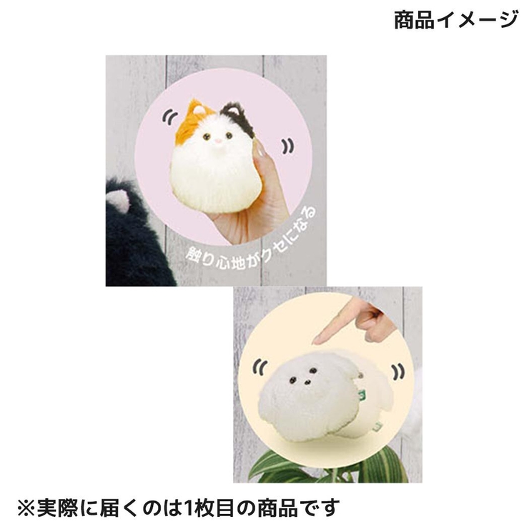 ぬいぐるみ わんコロン ミニチュアシュナウザー | cinemacollection | 詳細画像3 