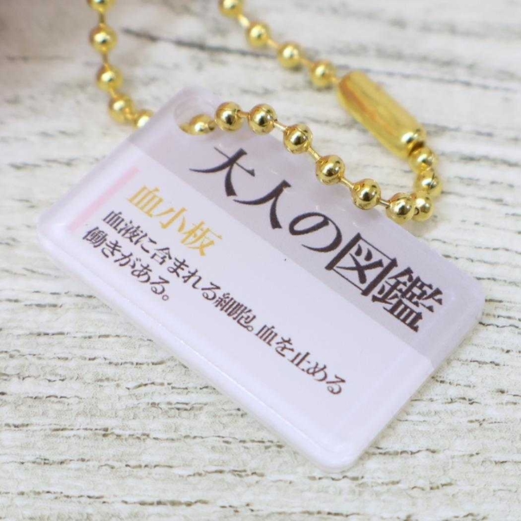 大人の図鑑 マスコット ぬいぐるみキーホルダー | cinemacollection | 詳細画像3 