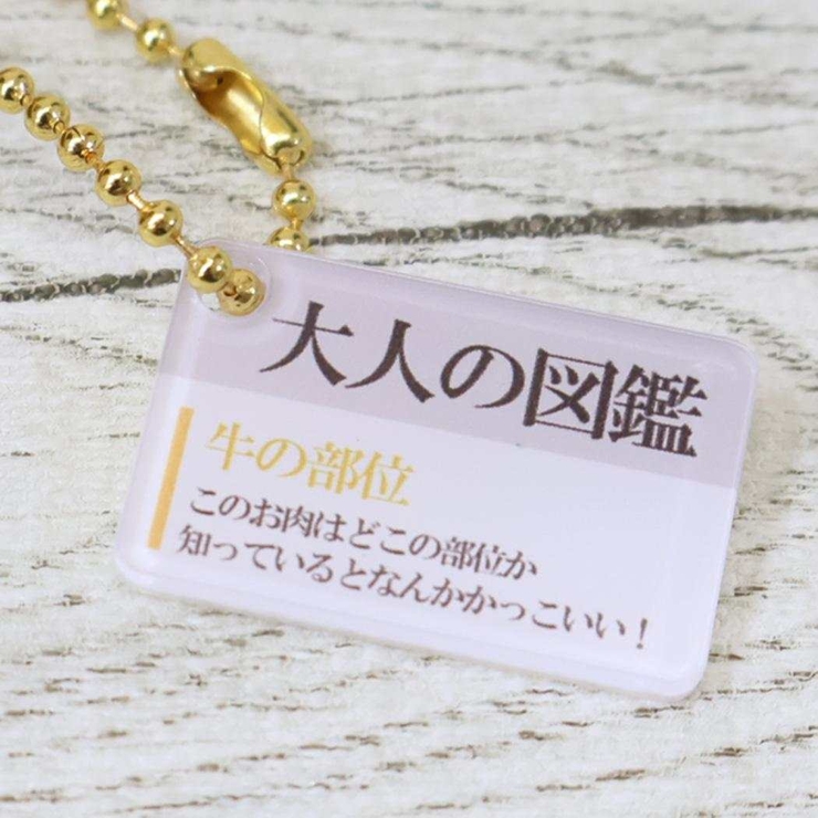 大人の図鑑 マスコット ぬいぐるみキーホルダー | cinemacollection | 詳細画像3 