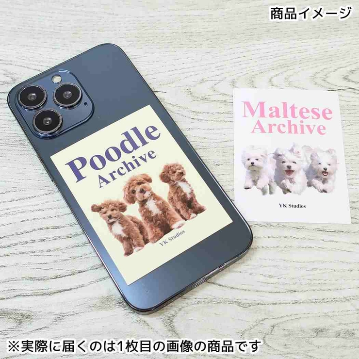 クリエイターズサーカス ダイカットシール ステッカー | cinemacollection | 詳細画像2 