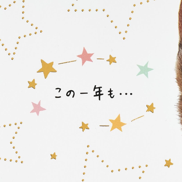 グリーティングカード バースデー BD322 | cinemacollection | 詳細画像4 