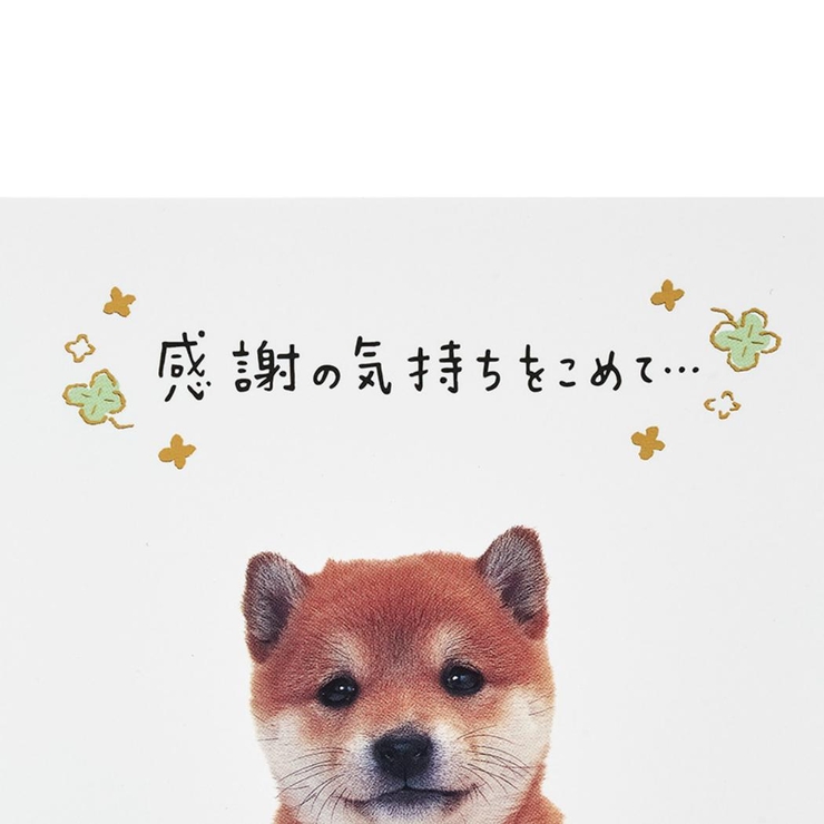 グリーティングカード サンキユ TY323 | cinemacollection | 詳細画像4 