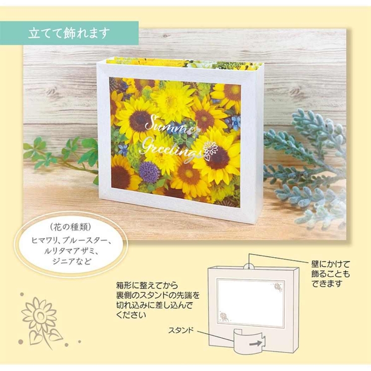グリーティングカード ショチュウ JSP | cinemacollection | 詳細画像4 