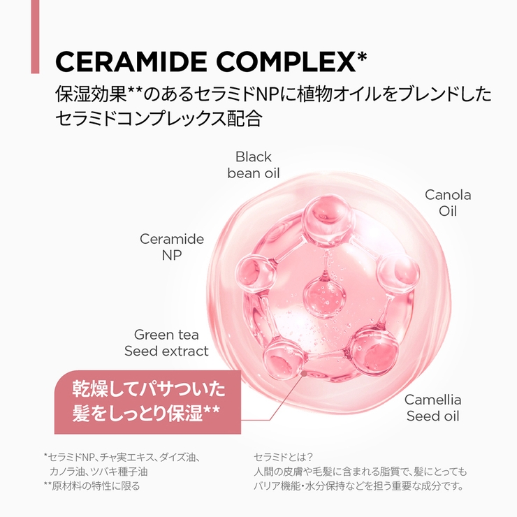 amos PROFESSIONAL トゥルーリペア | C&C PLANET コスメ | 詳細画像10 