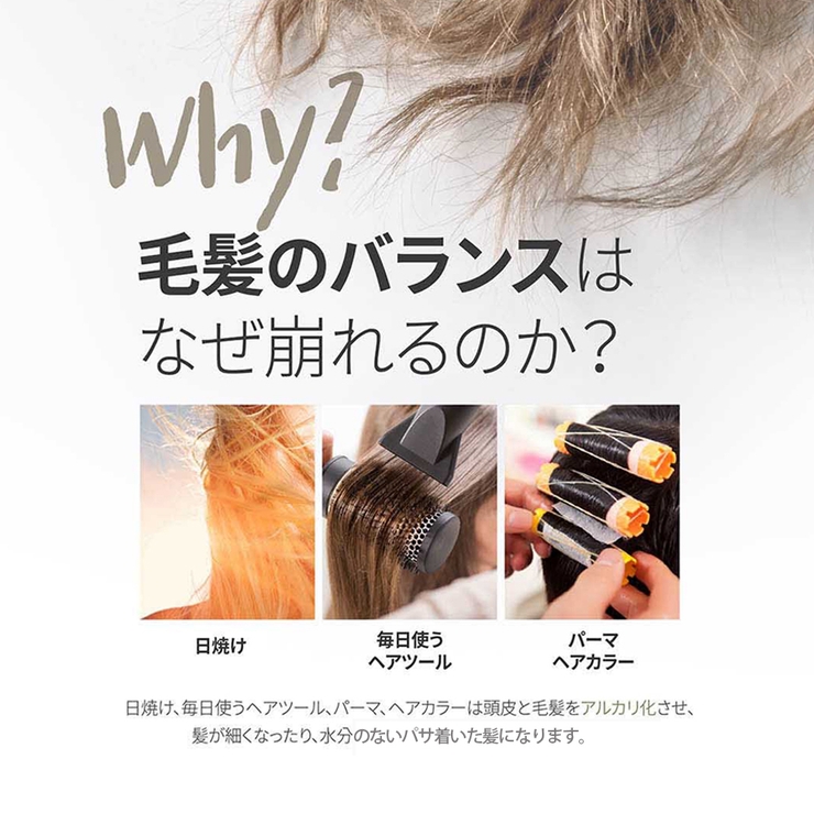 H Mシャンプー Ylang Ylang 品番 Kkne Cosme Re Make コスメリメイク のレディースファッション通販 Shoplist ショップリスト