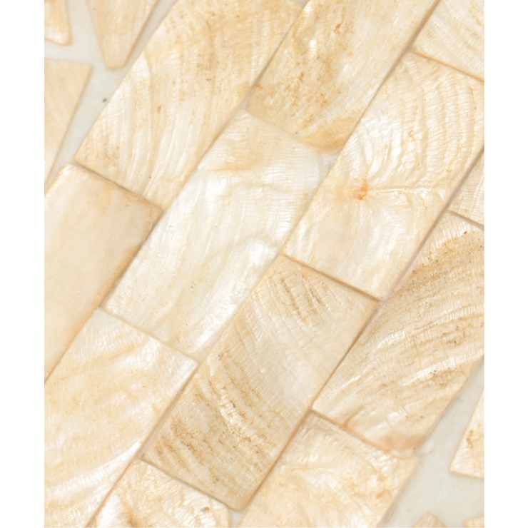 シェルコースターラウンド2枚 | Lbc with Life | 詳細画像6 