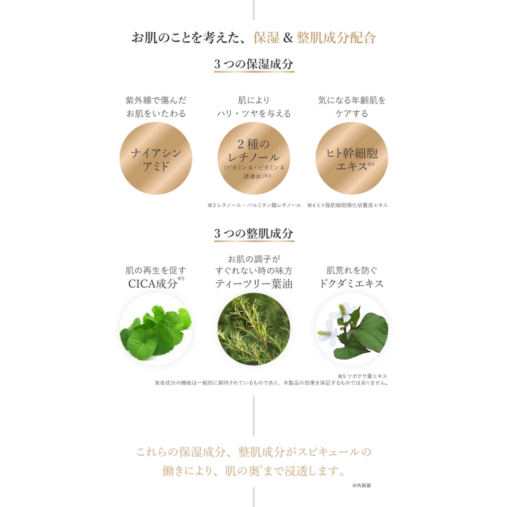 スピキュールクッションファンデーション 2色 スピキュール | Cosme Dream | 詳細画像7 