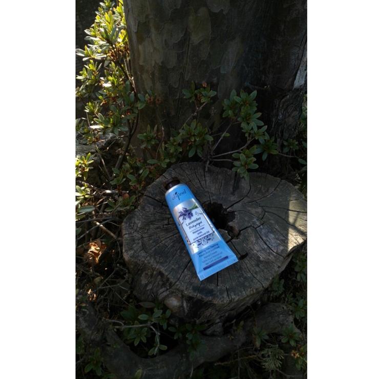 Difeel ラベンダー ナチュラル | dreamjapan | 詳細画像11 