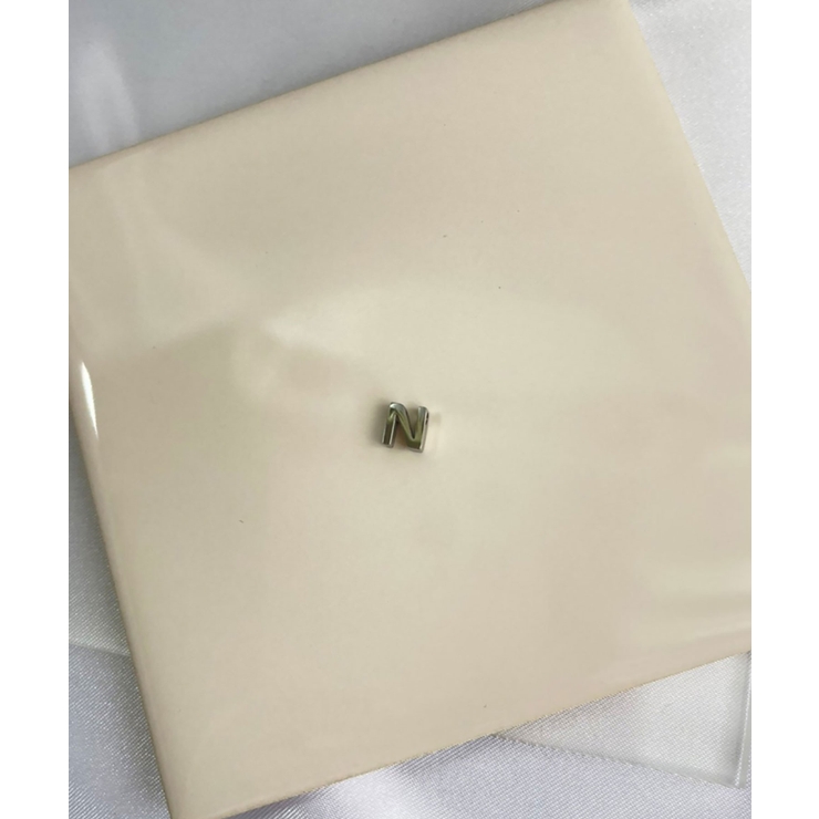 N_S | イニシャルチャーム ネックレス Stainless 316L | earyear