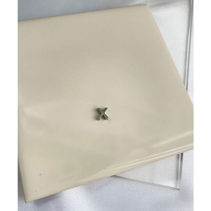 X_S | イニシャルチャーム ネックレス Stainless 316L | earyear