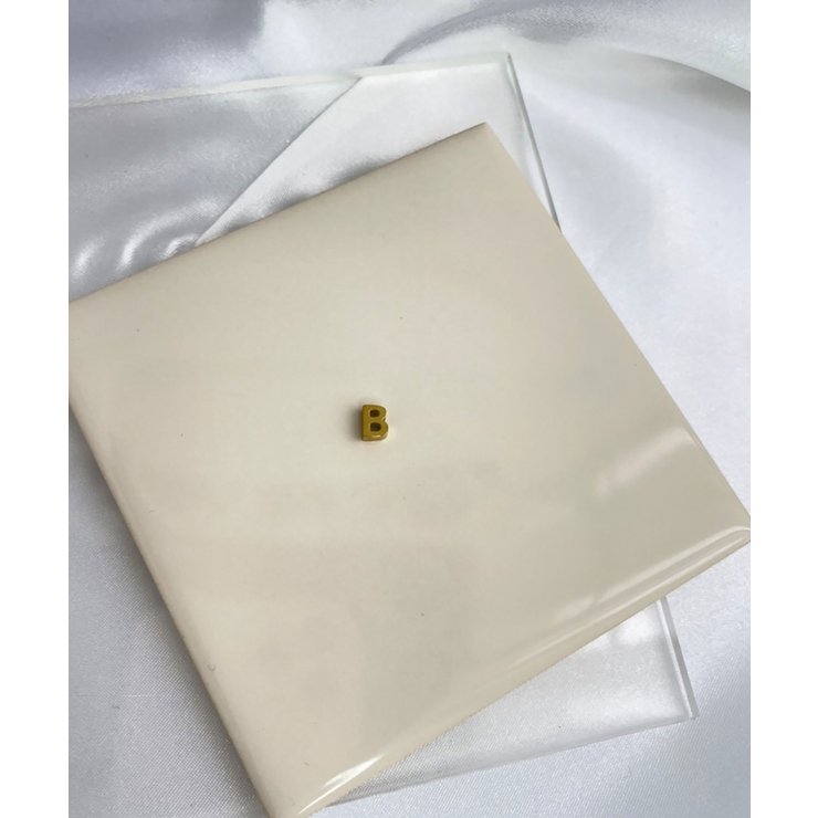 B_G | イニシャルチャームブレスレット Stainless 316L | earyear