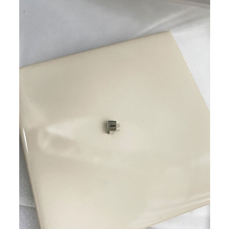 F_S | イニシャルチャームブレスレット Stainless 316L | earyear