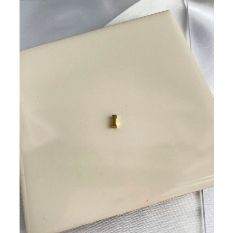 I_G | イニシャルチャームブレスレット Stainless 316L | earyear