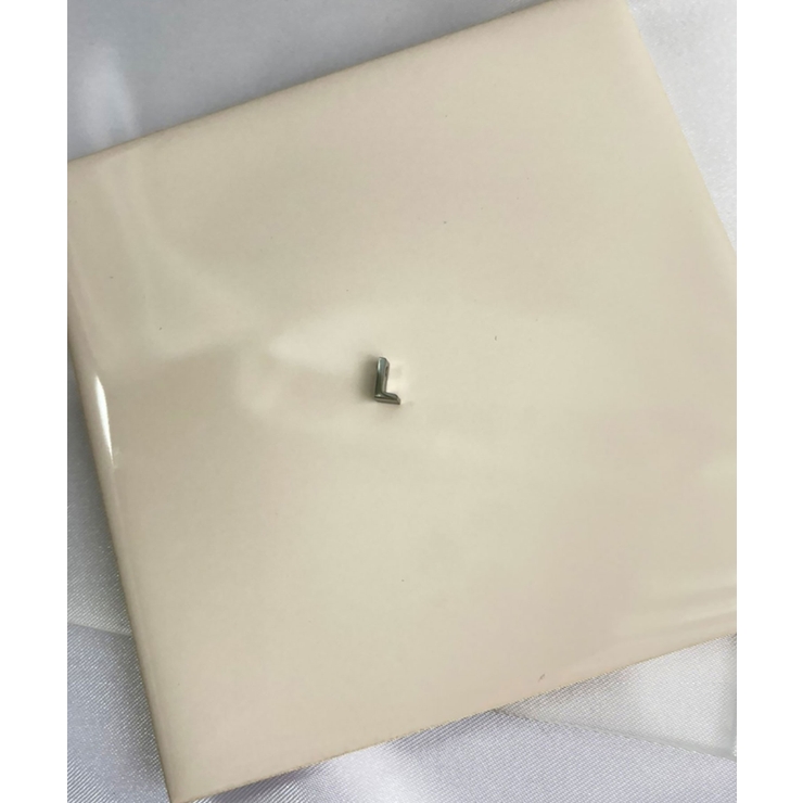 L_S | イニシャルチャームブレスレット Stainless 316L | earyear