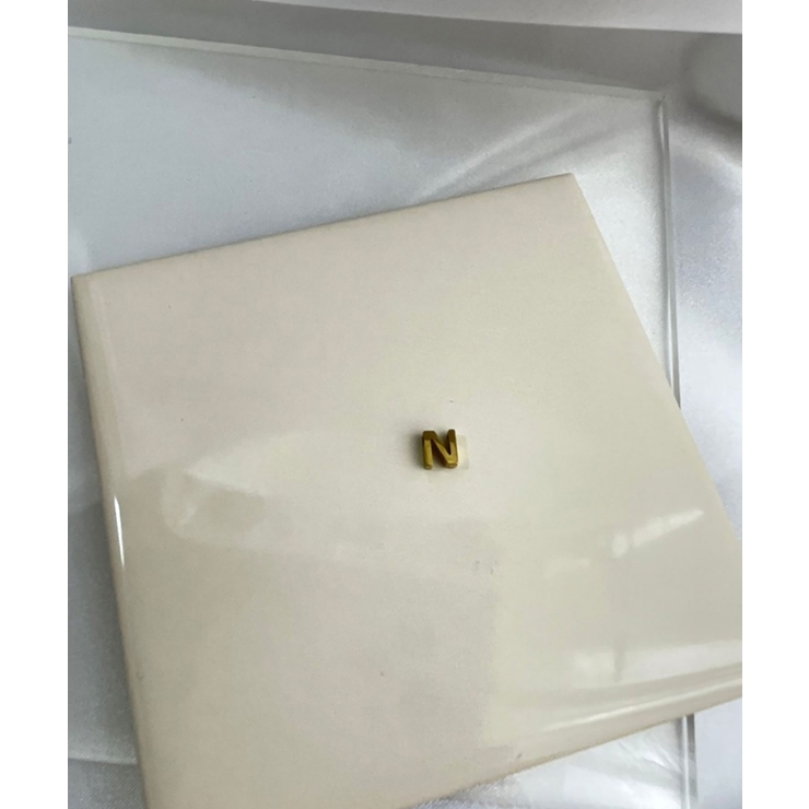 N_G | イニシャルチャームブレスレット Stainless 316L | earyear