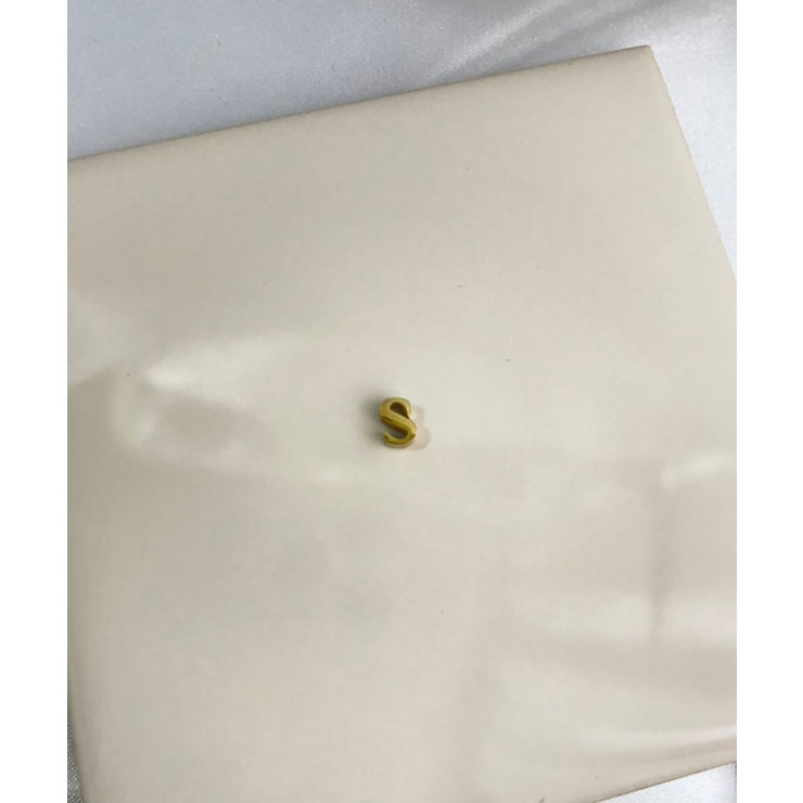 S_G | イニシャルチャームブレスレット Stainless 316L | earyear