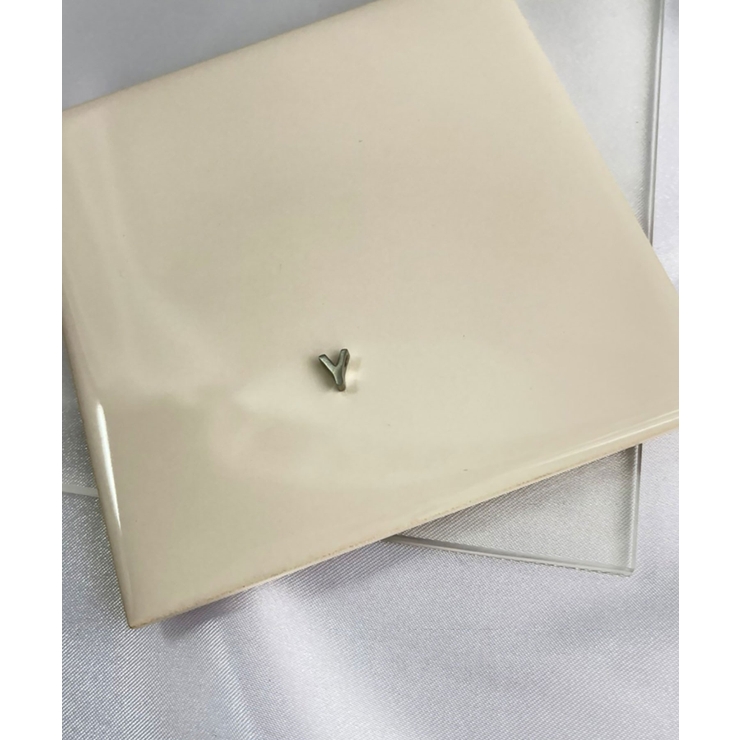 Y_S | イニシャルチャームブレスレット Stainless 316L | earyear