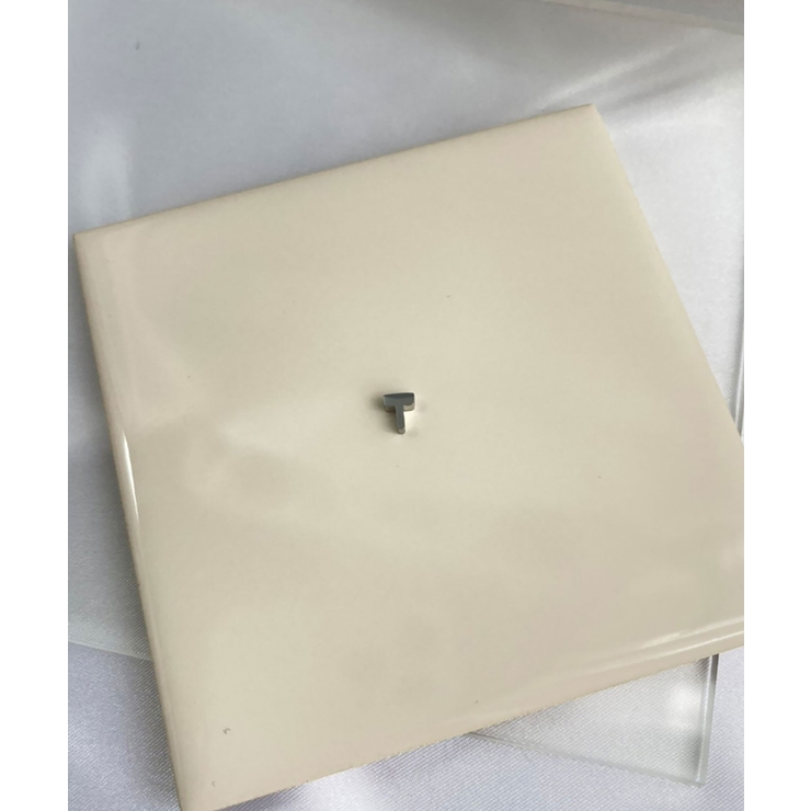 イニシャルチャーム Stainless 316L | earyear | 詳細画像20 
