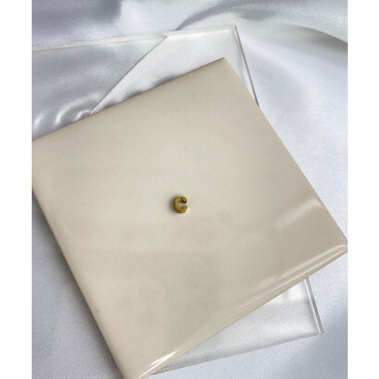 イニシャルチャーム Stainless 316L | earyear | 詳細画像29 