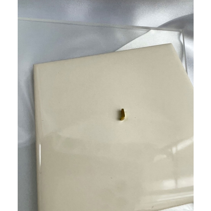 イニシャルチャーム Stainless 316L | earyear | 詳細画像36 