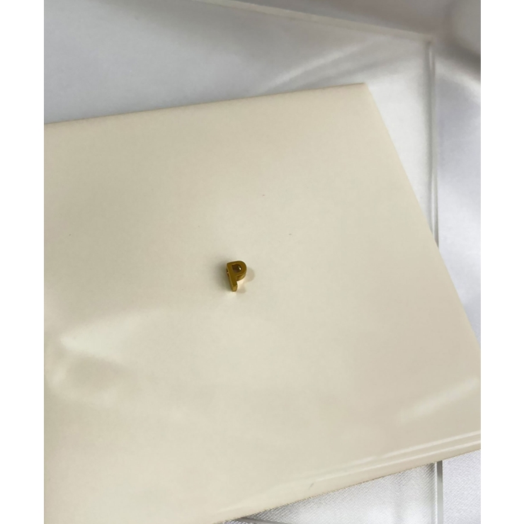 イニシャルチャーム Stainless 316L | earyear | 詳細画像42 