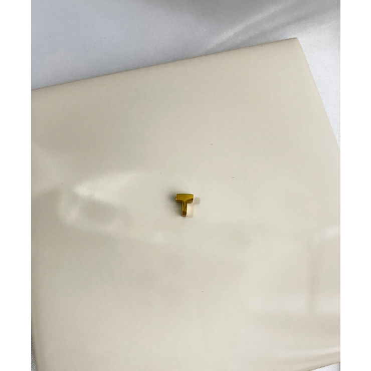 イニシャルチャーム Stainless 316L | earyear | 詳細画像46 