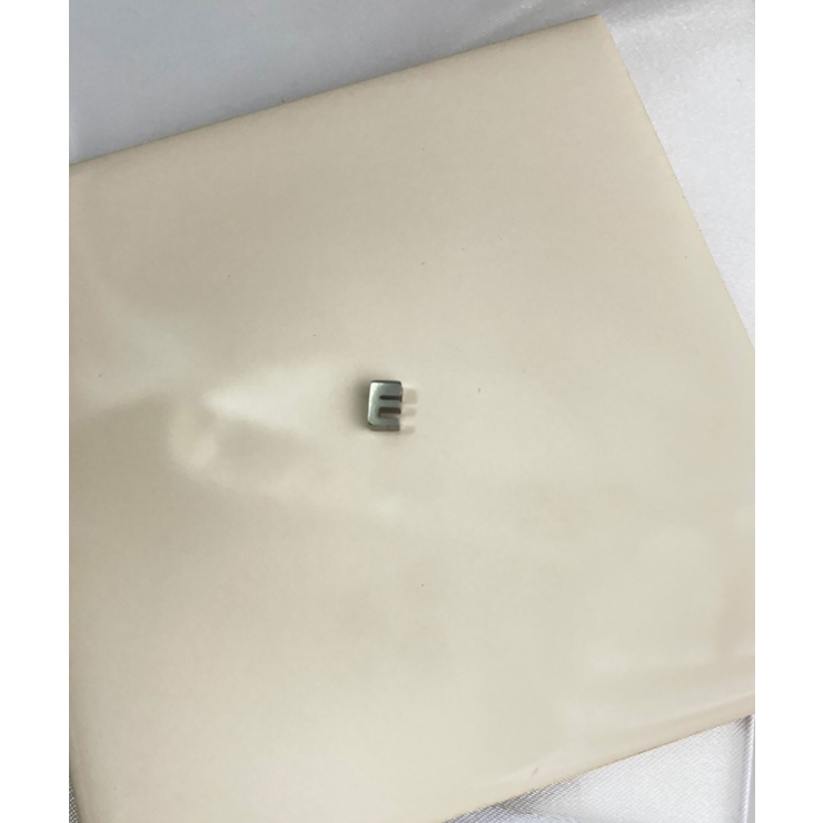 イニシャルチャーム Stainless 316L | earyear | 詳細画像5 