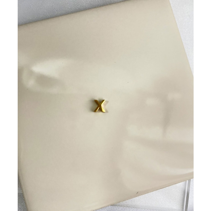 イニシャルチャーム Stainless 316L | earyear | 詳細画像50 